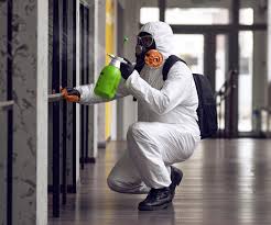 Reliable West Belmar, NJ Mold Remediation Solutions